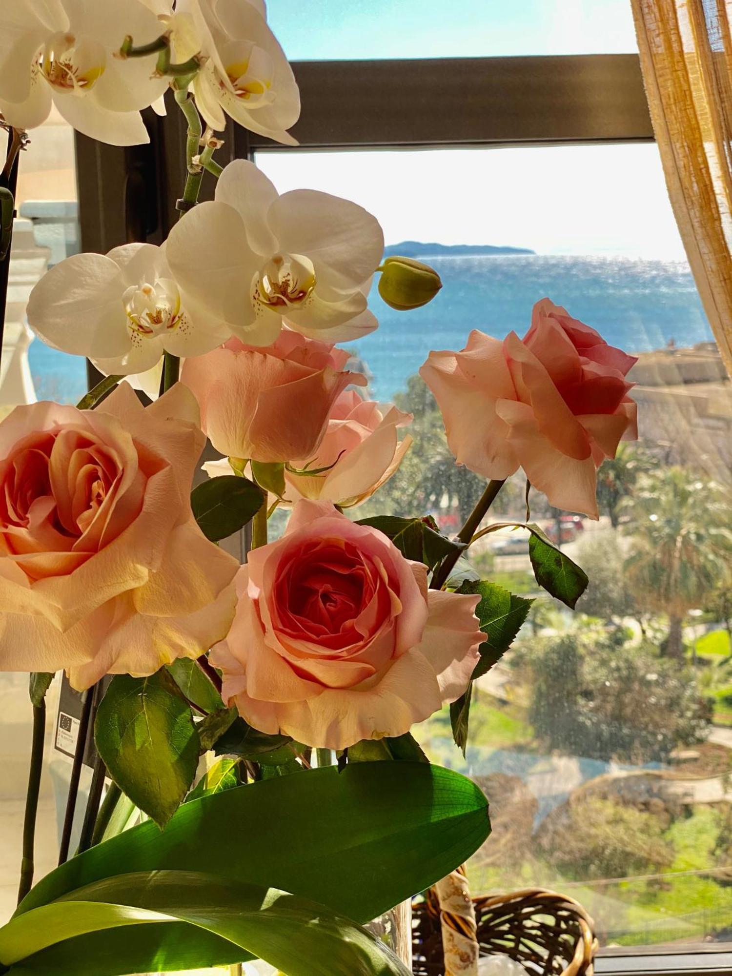 Amarilis Luxury Apartments Sarandë Eksteriør bilde